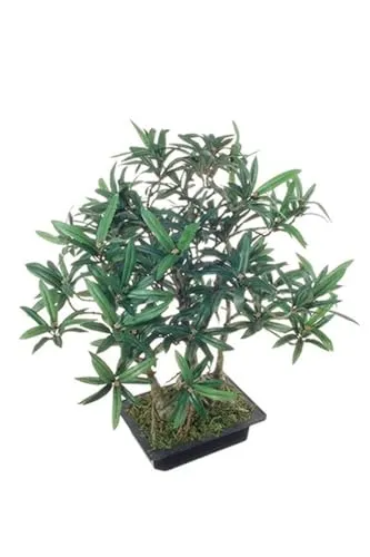 artplants.de Kunstbaum Bonsai Steineibe ALIKANA - 45cm Kunstbonsai mit Wurzeln - Schöner Kunstbonsai mit einer Gesamthöhe von 45 cm. Ideal für dekorative Akzente, mit einem kunstvollen Formschnitt und stabiler Fixierung in der Dekoschale.