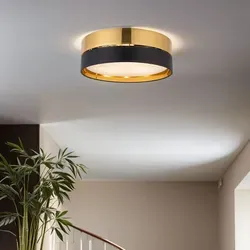 Licht-Erlebnisse Deckenleuchte NESKE Schwarz Gold - Moderne Deckenleuchte mit blendarmem Licht und edlem Design, ideal für niedrige Decken. Bietet individuelle Lichtgestaltung durch freie Leuchtmittelwahl und setzt stilvolle Akzente in jedem Raum.