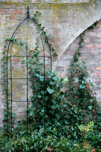 Rankgerüst Höhe: 200 cm B: 60cm Rankhilfe Rankgitter Metall Schwarz halbrund