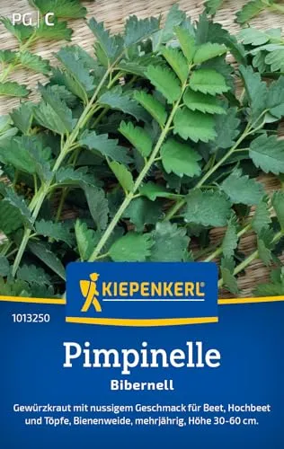 Kiepenkerl Pimpinellensamen Bibernell 101325
