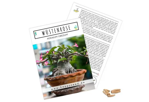 HappySeed Blumensamen Exotische Kakteen Samen mit hoher Keimrate - Wüstenrose, Kakteen