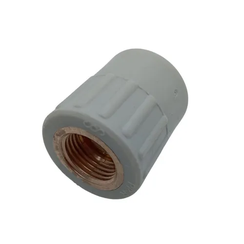 PPR Fittings: Übergang mit IG 25 mm * 3/4