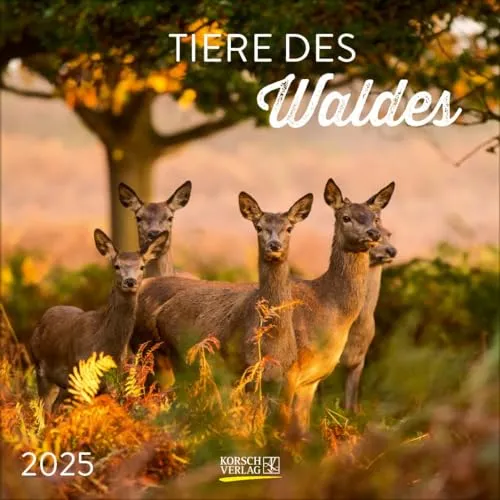 Tiere des Waldes 2025: Broschürenkalender mit Ferienterminen. Format: 30 x 30 cm