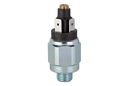 Riegler Druckschalter, Standard, G 1/4, 0,5 - 2 bar - Smart Home Druckschalter aus verzinktem Stahl, ideal für präzise Steuerung von Luft und Flüssigkeiten, temperaturbeständig von -25 °C bis 85 °C, einfach verstellbar und vielseitig einsetzbar.