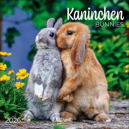 Kaninchen 2026: Broschürenkalender mit Ferienterminen. Format: 30 x 30 cm