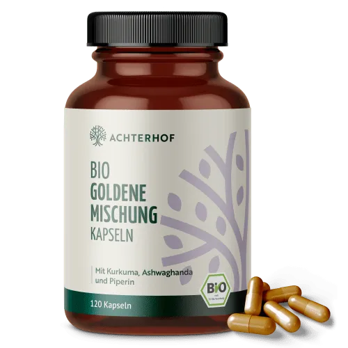 Goldene Mischung Kapseln Bio 120 Stück | Ayurveda Power für deinen Alltag