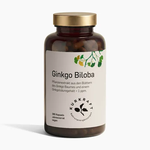 Kurkraft Ginkgo Biloba