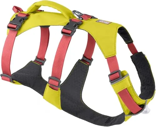 Ruffwear Flagline Hundegeschirr mit Griff, Lleichtes, Verstellbares Gehgeschirr, 3 Leinenbefestigungspunkte, verstärktes Gurtband und starker V-Ring aus Metall, Lichen Green (X Small, 43-56cm)