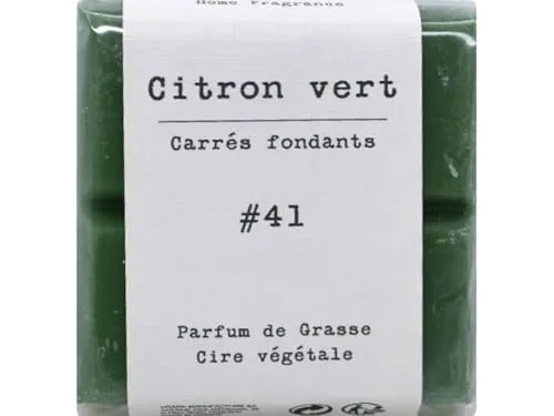 Duftzauber Tabs – Aroma-Schmelzlinge aus Duftwachs | Schmelztabletten für Duftlampen & Wachswärmer | Aromawachs für intensives Dufterlebnis (Quadrat, Nr.41 - CITRON VERT)