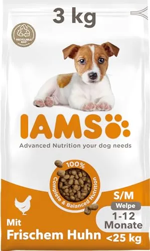 IAMS Junior Hundefutter trocken mit Huhn