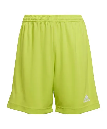 Shorts Grün von adidas Performance