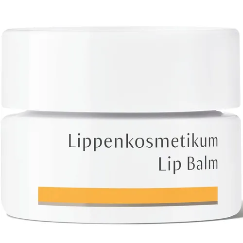 Produktbild Dr. Hauschka® Lippenkosmetikum