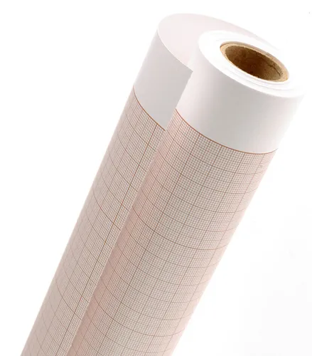 CANSON Millimeterpapier-Rolle 750 mm x 10 m - Dunkelbraun - Hochwertiges Millimeterpapier in Dunkelbraun, ideal für präzise technische Zeichnungen und kreative Projekte.