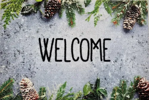 ASTRA Fußmatte Astra Weihnachts - Fussmatte 40x60cm 956 Welcome Tannenzweige