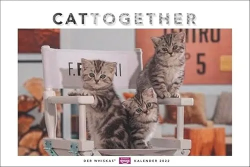 Whiskas Katzenkalender 2022