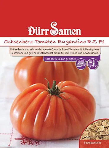 Dürr-Samen - Ochsenherz-Tomaten Rugantino RZ F1 Saatgut