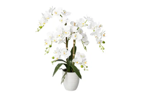 Kunstblume Kunstorchidee Deko-Orchidee Phalaenopsis im Keramiktopf, Höhe 67 cm Orchidee, Creativ green