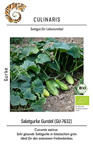 Culinaris 092 Salatgurke Gundel (GU-7632) (Bio-Salatgurkensamen)