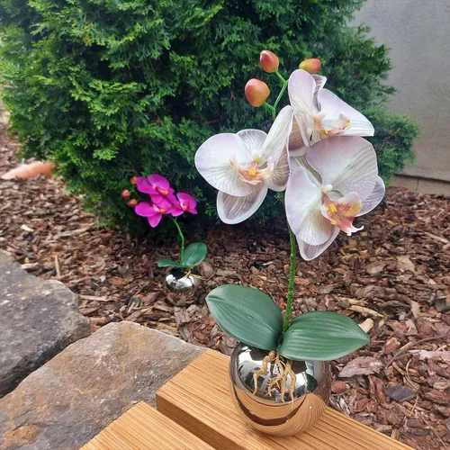 Kunstorchidee Phalaenopsis NAPIRAI in Weiß-Lila, 30cm - Dekorative Künstliche Orchidee für den Innenbereich. Pflegeleicht und langlebig – ideal für eine stilvolle Raumgestaltung.