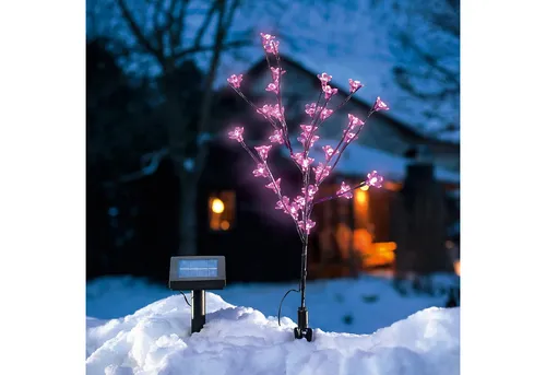 esotec LED Solarleuchte Blütenstrauch pink in schwarz von esotec