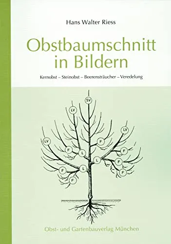 Obstbaumschnitt in Bildern: Kernobst in beige von Obst- und Gartenbauvlg.