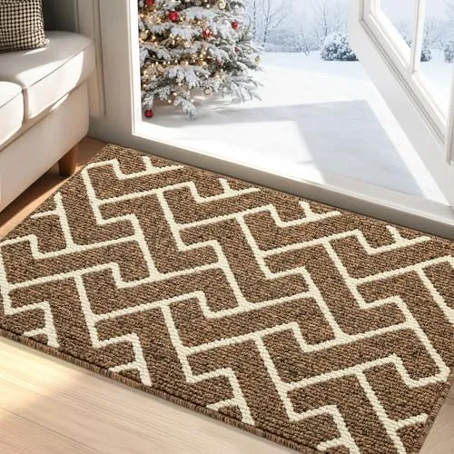 Biscpro Fußmatte Innen, Wasserdicht Türmatte Schmutzfangmatte rutschfest Fussmatte Innen (Braun, 60 x 90 cm)