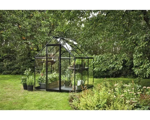 Halls Qube 66 Gewächshaus 3,9 m² aus Sicherheitsglas von Halls