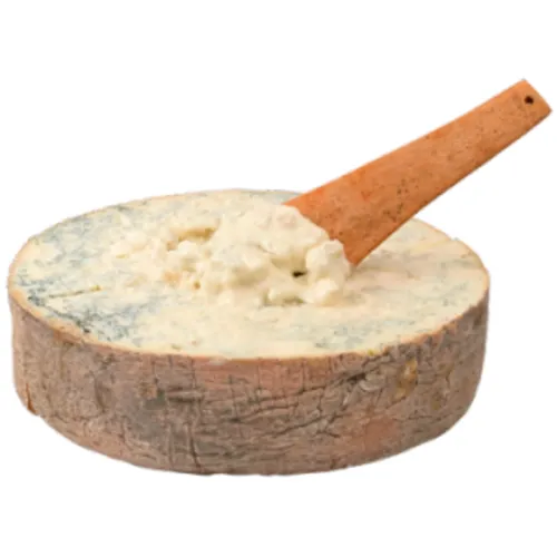 Gorgonzola D.o.p. Laib