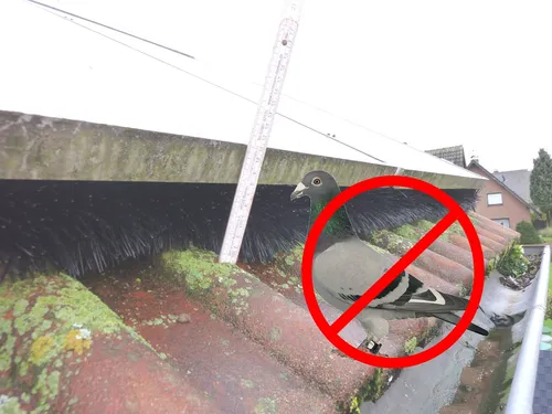 1,2 Meter Solaranlage Schutz Photovoltaik Schutz  Vogel Taube Marder Nager Schutz