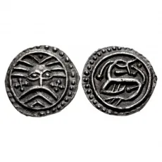Ion Game Design Vendel to Viking - Coins 296019