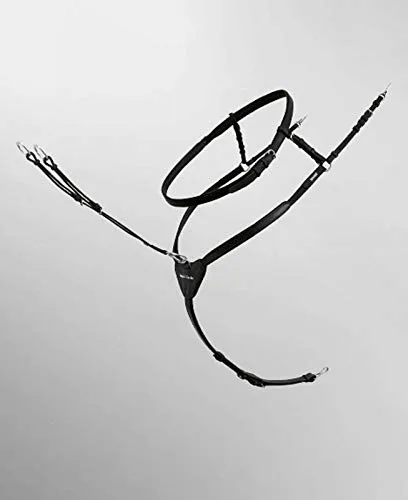 Passier Vorderzeug Ingrid Klimke schwarz mit Edelstahlbeschlägen Größe Pony