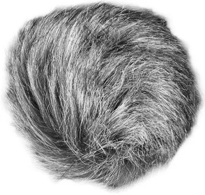 ZOOM WSU-1 Universeller Windschutz - Studio & Recording, effektiver Schutz vor Windgeräuschen für klare Audioaufnahmen beim Filmen oder Musizieren.