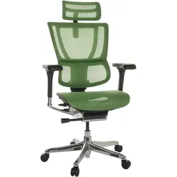 hjh OFFICE Luxus Chefsessel ERGOHUMAN SLIM GEN2 in grün von MID.YOU
