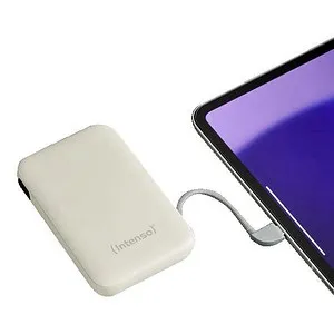 Intenso Power Bank S 10000 mAh Grau mit USB-C