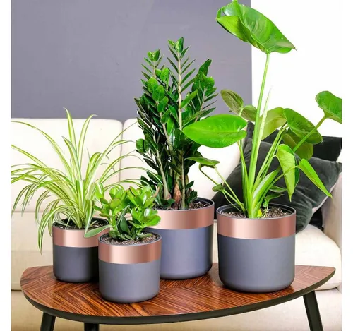 vidaXL Kupferband 2000 x 7 cm – Vielseitiges Klebeband aus Kupfer - Dieses vielseitige Kupferband eignet sich perfekt für kreative Projekte und elektrische Anwendungen. Mit starkem Kleber und flexibler Struktur bietet es zuverlässigen Halt und Anpassungsfähigkeit für alle DIY-Fans.
