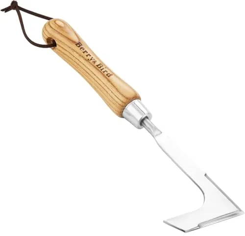 Berry&Bird Fugenkratzer, Unkrautkratzer aus Edelstahl, Unkrautmesser, Fugenreiniger, Fugenmesser mit Stiel aus Eschenholz zum Entfernen von Moos und Unkraut