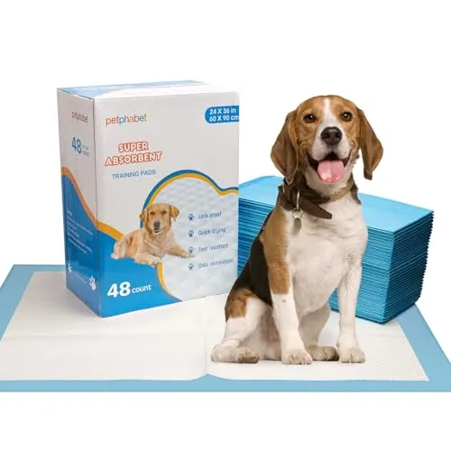 petphabet XXL Puppy Pads 60x90cm Welpenunterlagen Trainingsunterlagen Puppy Training Pads Welpentoilett Ultra saugfähig inkontinenzunterlage für Welpen Hund Puppy Training Pads 48 stücke