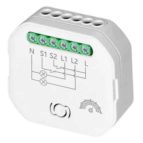 Smart Wi-Fi 2.4GHz 2-Kanal Empfänger mit Dimmer, Relay, kompatibel mit Alexa, Google Home, Sprachsteuerung, LED geeignet