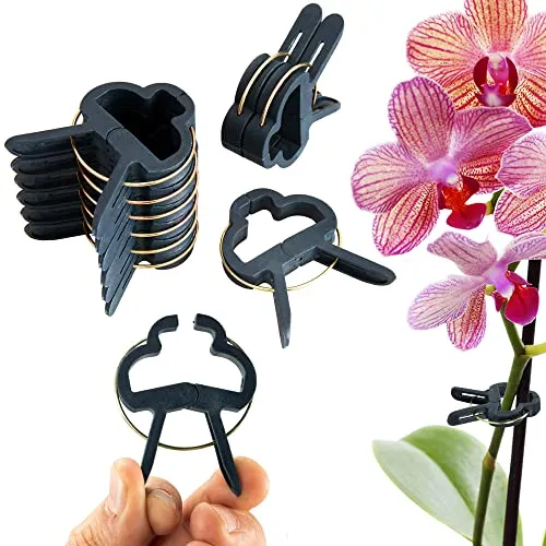 ECENCE 60x Pflanzenclips Pflanzenklammern für Tomaten, groß Reben, Rosen, Rankhilfe für Kletterpflanzen, Pflanzenhalter, Leichte Fixierung, Wiederverwendbar