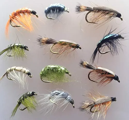 BestCity Angelfliegen, Garnelen und Krabbelnippel, 12 Stück, Größe 8-12