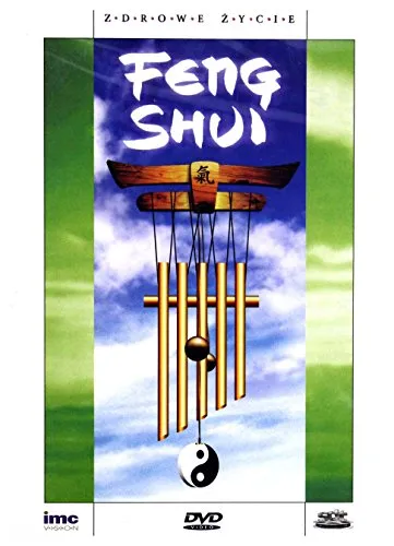 Feng Shui [DVD] (Keine deutsche Version)