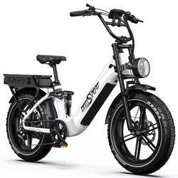E-Bike Cityrad OT08pro Herren 1728WH