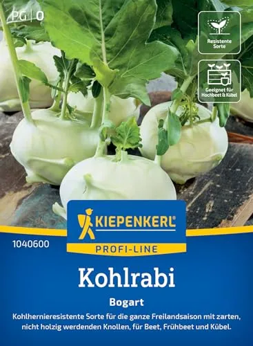 Kiepenkerl Profi-Line Kohlrabisamen Bogart 1040600 - resistente Sorte - Freilandsaison - zart - nicht holzig - Samen Gemüse, Saatgut, Gemüsepflanzen