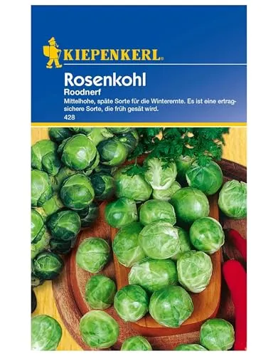Kiepenkerl Rosenkohlsamen Roodnerf - Ertragreiche Winterernte, Schmackhafte Mittelhohe Späte Kohlsorte