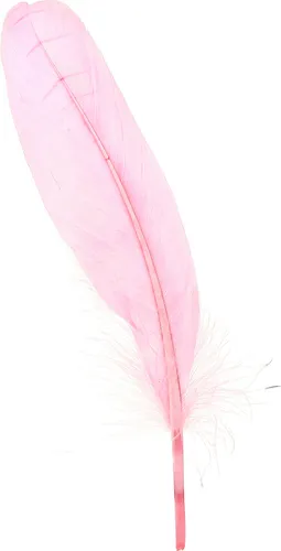 Rosa Gänsefedern Basteln 18-20cm 20g x2 für Deko, 2 Stück