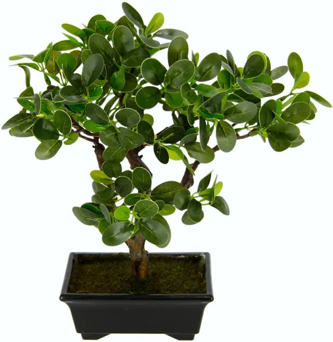 Kunstbonsai Ginseng-Bonsai, I.GE.A., Höhe 33 cm - Vielseitige Deko-Kunstpflanze im Bonsai-Stil, detailgetreu und pflegeleicht. Perfekt für Bad, Schreibtisch oder Empfangsraum – bringt exotisches Flair in dein Zuhause!
