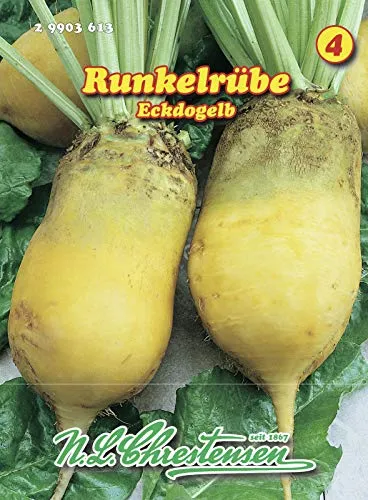 N.L. Chrestensen 29903613 Runkelrübe Eckdogelb (Runkelrübensamen)