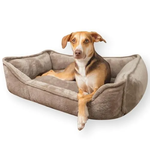 4L Textil IRIS Orthopädisches Hundebett Premium-LINE Hundekorb orthopädisch Kuscheliges Hundebett mit Bezug Memory Foam(80x60 cm, Braun)