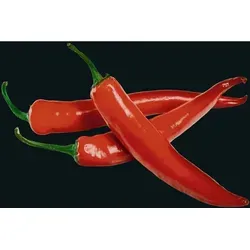 Glasrückwand Hot Peperoni 60 X 70 Cm, Mehrfarbig, Gehärtetes Glas Mehrfarbig - Mehrfarbig - Wenko