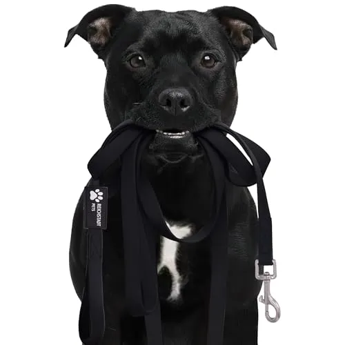 Reichstadt Pets Robuste PVC Hundeleine für Hunde – wasserabweisend, rutschfeste Oberfläche | 360° Edelstahl-Karabiner, pflegeleicht & wetterfest 25RSP086 Black 5m
